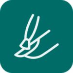 Alopecia Areata and Nails Icon